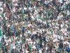 06. fanatici 2